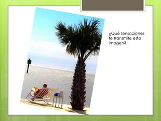 ¿Qué sensaciones
te transmite esta
imagen?
 