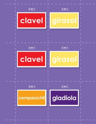 2 en 1
2 en 1
2 en 1
2 en 1
2 en 1
2 en 1
girasol
girasol
gladiola
cempasúchil
clavel
clavel
 