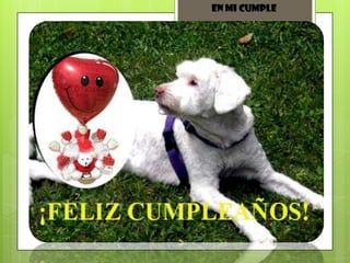 En mi cumple
 