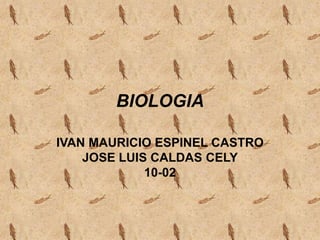 BIOLOGIA IVAN MAURICIO ESPINEL CASTRO JOSE LUIS CALDAS CELY 10-02 