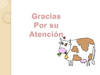 Leche chocolatadaLa importancia de la leche para nuestra saludLa leche es importante no sólo para la formación y el mantenimiento de unos huesos fuertes y sanos ayudando a prevenir la aparición de la osteoporosis, dado que es fundamental para la salud de los más pequeños. Desde el nacimiento con la lactancia materna hasta la propia adolescencia en sí, tomar leche diariamente es imprescindible para ayudar a que nuestros hijos tengan unos huesos fuertes y sanos. Esto es posible gracias a que su consumo habitual suple un tercio de las necesidades diarias.