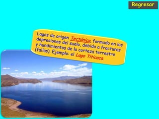 Regresar
 