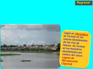 Regresar
 