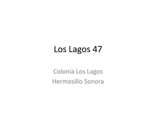 Los Lagos 47

Colonia Los Lagos
Hermosillo Sonora
 
