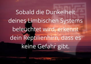 Sobald die Dunkelheit
deines Limbischen Systems
beleuchtet wird, erkennt
dein Reptilienhirn, dass es
keine Gefahr gibt.
 