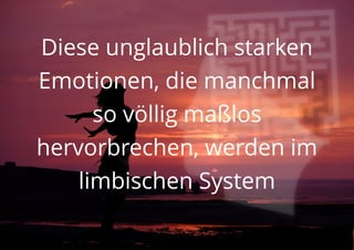 Diese unglaublich starken
Emotionen, die manchmal
so völlig maßlos
hervorbrechen, werden im
limbischen System
 