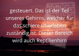 gesteuert. Das ist der Teil
unseres Gehirns, welcher für
das schiere Überleben
zuständig ist. Dieser Bereich
wird auch Reptilienhirn
 