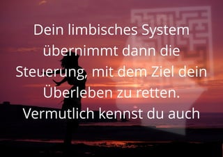 Dein limbisches System
übernimmt dann die
Steuerung, mit dem Ziel dein
Überleben zu retten.
Vermutlich kennst du auch
 