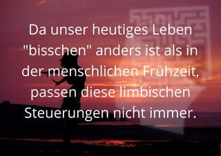 Da unser heutiges Leben
"bisschen" anders ist als in
der menschlichen Frühzeit,
passen diese limbischen
Steuerungen nicht immer.
 