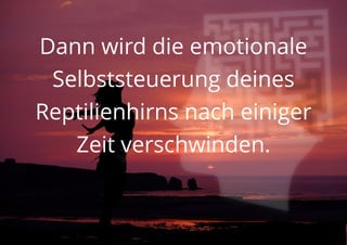 Dann wird die emotionale
Selbststeuerung deines
Reptilienhirns nach einiger
Zeit verschwinden.
 