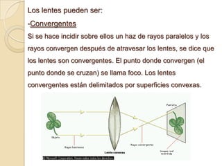 Los lentes pueden ser:
-Convergentes
Si se hace incidir sobre ellos un haz de rayos paralelos y los
rayos convergen después de atravesar los lentes, se dice que
los lentes son convergentes. El punto donde convergen (el
punto donde se cruzan) se llama foco. Los lentes
convergentes están delimitados por superficies convexas.
 