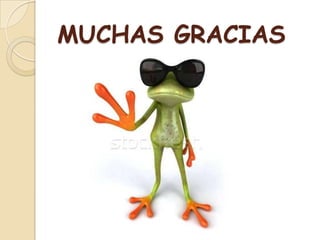 MUCHAS GRACIAS
 