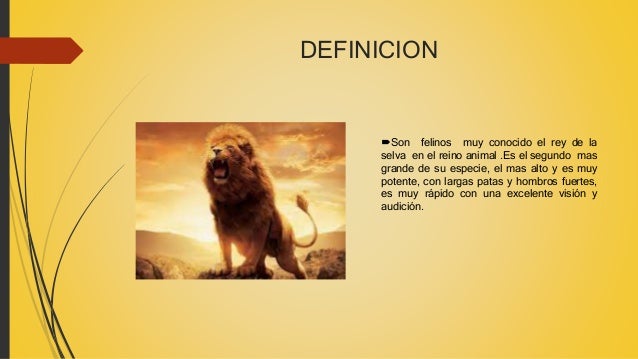 Los Leones