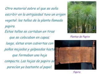 Otro material sobre el que se solía
escribir en la antigüedad tuvo un origen
vegetal: los tallos de la planta llamada
papi...