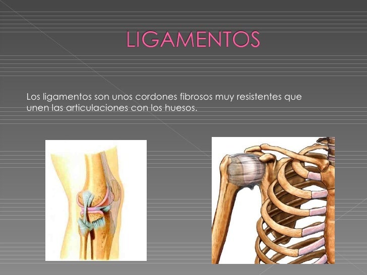 Los Ligamentos