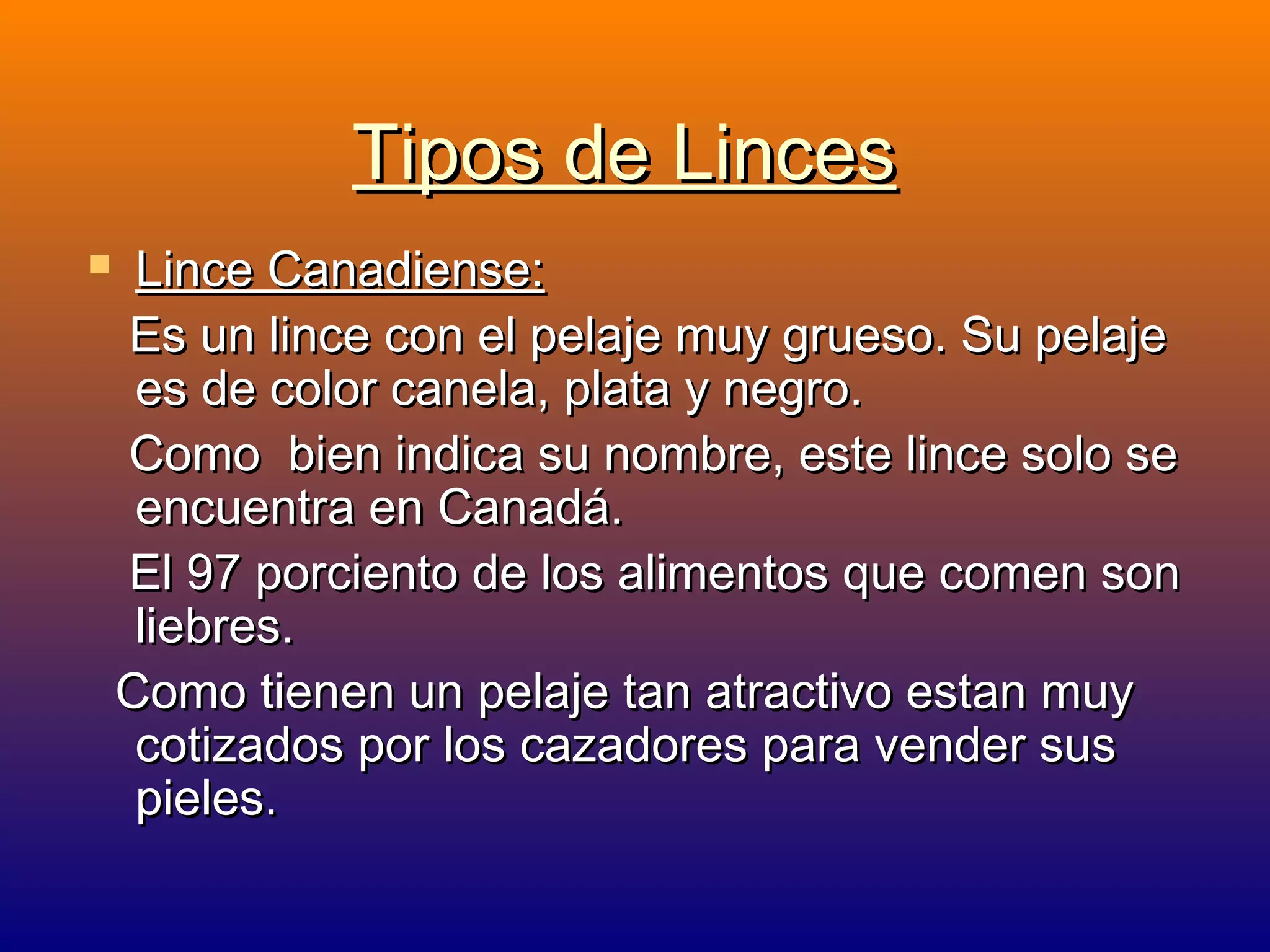 Tipos de Linces


Lince Canadiense:
Es un lince con el pelaje muy grueso. Su pelaje
es de color canela, plata y negro.
Como bien indica su nombre, este lince solo se
encuentra en Canadá.
El 97 porciento de los alimentos que comen son
liebres.
Como tienen un pelaje tan atractivo estan muy
cotizados por los cazadores para vender sus
pieles.

 