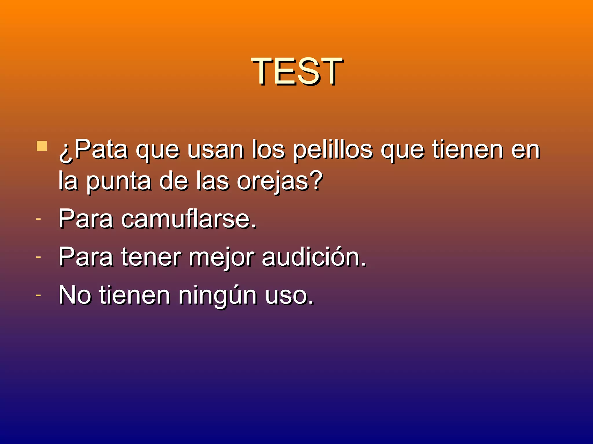 TEST


-

¿Pata que usan los pelillos que tienen en
la punta de las orejas?
Para camuflarse.
Para tener mejor audición.
No tienen ningún uso.

 