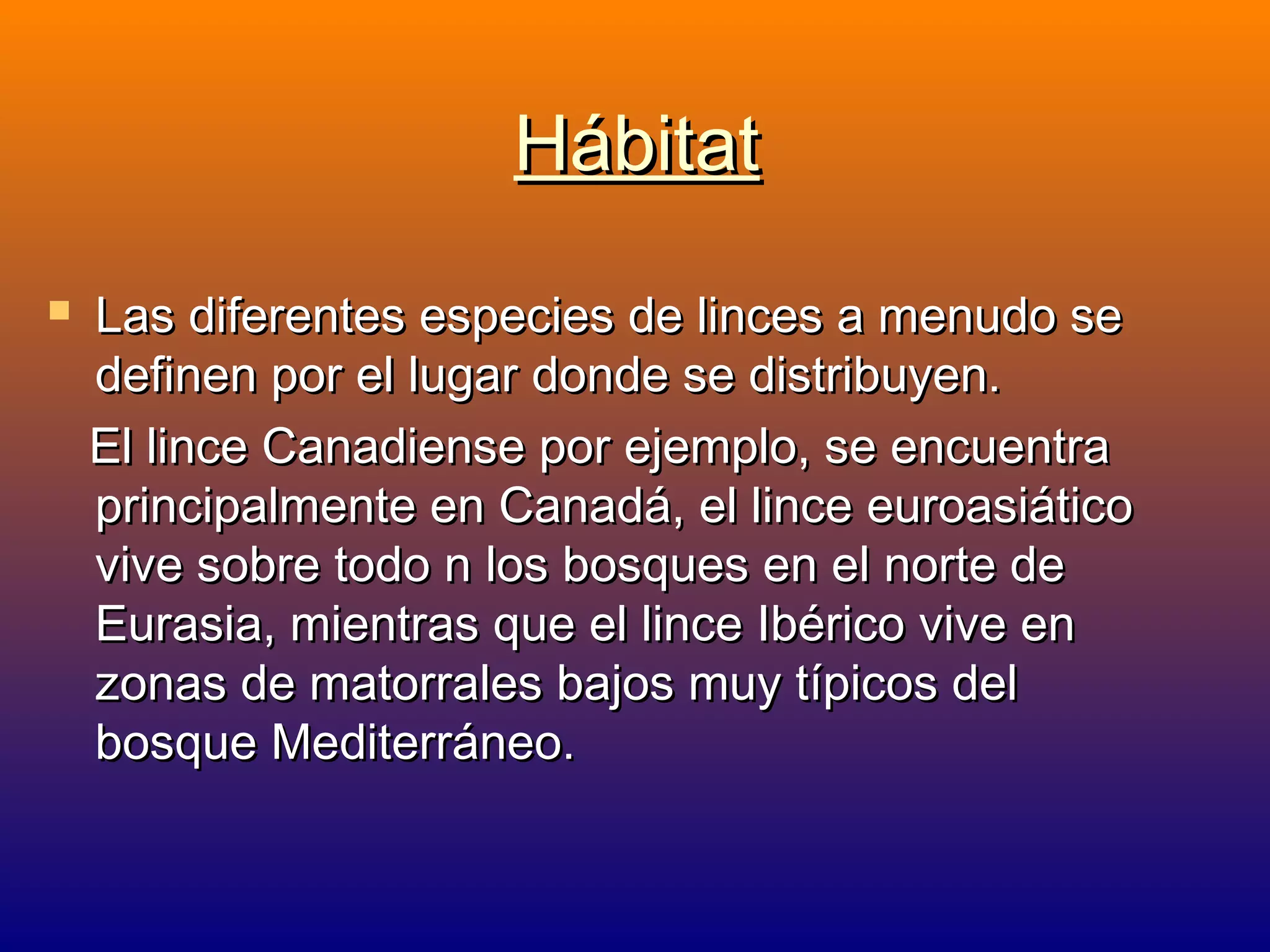 Hábitat


Las diferentes especies de linces a menudo se
definen por el lugar donde se distribuyen.
El lince Canadiense por ejemplo, se encuentra
principalmente en Canadá, el lince euroasiático
vive sobre todo n los bosques en el norte de
Eurasia, mientras que el lince Ibérico vive en
zonas de matorrales bajos muy típicos del
bosque Mediterráneo.

 