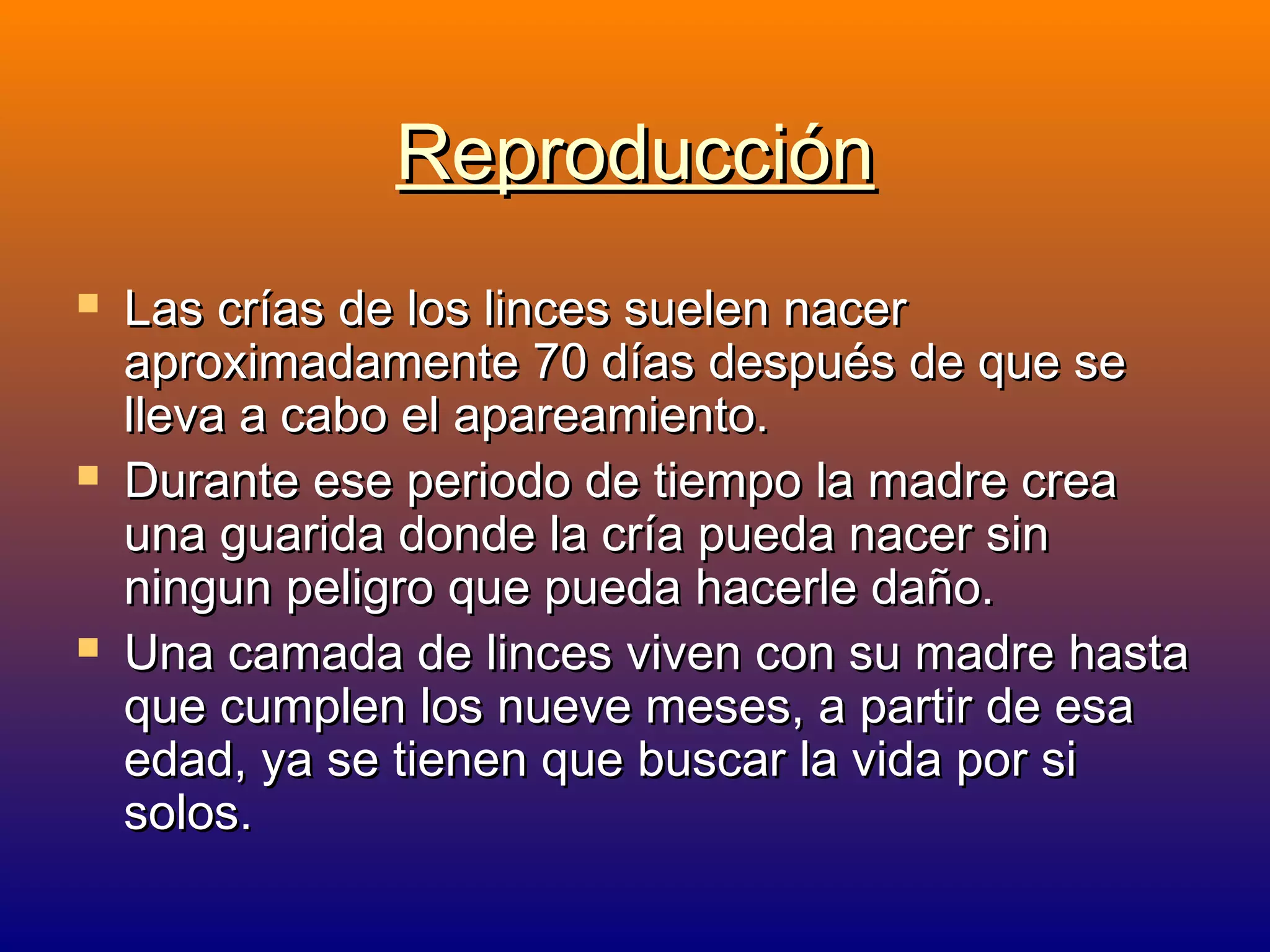 Reproducción






Las crías de los linces suelen nacer
aproximadamente 70 días después de que se
lleva a cabo el apareamiento.
Durante ese periodo de tiempo la madre crea
una guarida donde la cría pueda nacer sin
ningun peligro que pueda hacerle daño.
Una camada de linces viven con su madre hasta
que cumplen los nueve meses, a partir de esa
edad, ya se tienen que buscar la vida por si
solos.

 