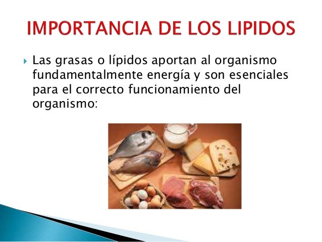 LOS LIPIDOS Y SU IMPORTANCIA EN LA NUTRICION