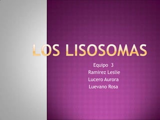 Equipo 3
Ramirez Leslie
Lucero Aurora
Luevano Rosa
 