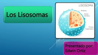 Los Lisosomas
Presentado por:
Edwin Ortiz
 