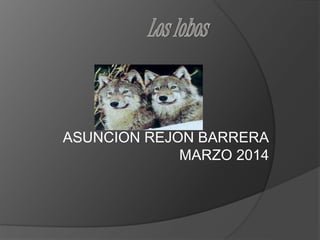ASUNCION REJON BARRERA
MARZO 2014
 