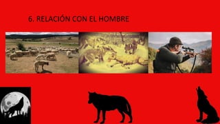 6. RELACIÓN CON EL HOMBRE
 
