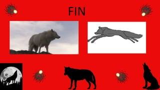FIN
 