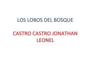 LOS LOBOS DEL BOSQUE
CASTRO CASTRO JONATHAN
LEONEL
 
