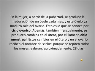 En la mujer, a partir de la pubertad, se produce la maduración de un óvulo cada mes, y este óvulo ya maduro sale del ovario. Esto es lo que se conoce por  ciclo ovárico.  Además, también mensualmente, se producen cambios en el útero, por el llamado  ciclo menstrual.  Estos cambios en el útero y en el ovario reciben el nombre de ‘ciclos’ porque se repiten todos los meses, y duran, aproximadamente, 28 días. 
