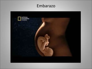 Embarazo 