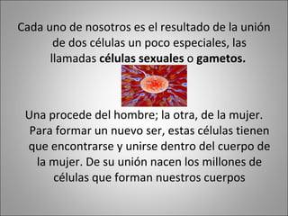 Cada uno de nosotros es el resultado de la unión de dos células un poco especiales, las llamadas  células sexuales  o  gametos.   Una procede del hombre; la otra, de la mujer. Para formar un nuevo ser, estas células tienen que encontrarse y unirse dentro del cuerpo de la mujer. De su unión nacen los millones de células que forman nuestros cuerpos 