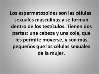 Los espermatozoides son las células sexuales masculinas y se forman dentro de los testículos. Tienen dos partes: una cabeza y una cola, que les permite moverse, y son más pequeños que las células sexuales de la mujer. 
