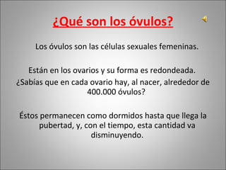 ¿Qué son los óvulos? Los óvulos son las células sexuales femeninas.  Están en los ovarios y su forma es redondeada.  ¿Sabías que en cada ovario hay, al nacer, alrededor de 400.000 óvulos?  Éstos permanecen como dormidos hasta que llega la pubertad, y, con el tiempo, esta cantidad va disminuyendo. 