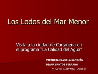 Los Lodos del Mar Menor Visita a la ciudad de Cartagena en el programa “La Calidad del Agua” VICTORIA CAYUELA SANJUÁN DIANA SANTOS SERRANO 1º SALUD AMBIENTAL  2008-09 