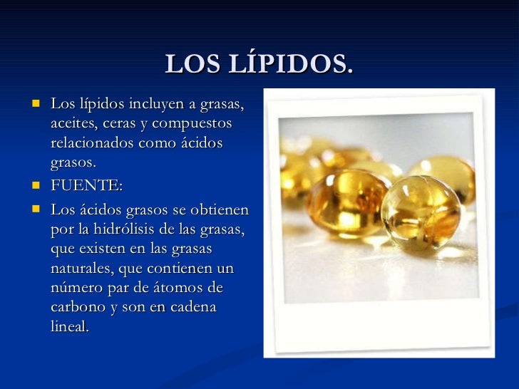 Los lípidos