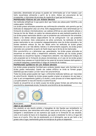 esenciales, denominados así porque no pueden ser sintetizados por el ser humano y por
tanto necesitamos obtenerlos a partir de la dieta. Ambos son precursores de los
eicosanoides, e intervienen de procesos de regulación al igual que las hormonas.
PROPIEDADES FÍSICAS DE LOS ÁCIDOS GRASOS
Son moléculas anfipáticas: lo que quiere decir que tienen una cabeza polar hidrófila y una
cadena apolar, hidrófoba.
Los ácidos grasos saturados presentan una conformación extendida, esto permite que las
moléculas se empaqueten unas con otras. Este empaquetamiento viene determinado por la
formación de enlaces intermoleculares. Las cadenas alifáticas se unen mediante enlaces o
fuerzas de Van der Waals, en cambio las cabezas polares se unen mediante puentes de H.
Los ácidos grasos insaturados debido a que no presentan una conformación tan extendida,
debido a los dobles enlaces (especialmente los de configuración –cis- que presentan
mayores curvaturas). Como consecuencia de estas curvaturas, las moléculas de ácidos
grasos insaturados no van a presentar empaquetamientos como los ácidos saturados y las
uniones mediante enlaces de Van der Waals entre las moléculas de ácidos grasos
insaturados van a ser más débiles. Debido a lo anteriormente expuesto, los ácidos grasos
saturados van a presentar un punto de fusión mayor que el de los de los insaturados.
Esta característica va a determinar que, generalmente, los ácidos grasos saturados se
encuentran en estado sólido a temperatura ambiente, mientras que los ácidos grasos
insaturados se encuentran líquidos a temperatura ambiente. Una implicación biológica de
esta propiedad son la formación de placas ateromatosas, en el caso de los ácidos grasos
saturados (muy comunes en triglicéridos) en las venas de los seres humanos obstruyendo la
circulación sanguínea y aumentando el riesgo de formación de trombos.
PROPIEDADES QUÍMICAS DE LOS ÁCIDOS GRASOS
Los ácidos grasos presentan facilidad para oxidarse (siendo mayor esta facilidad en los
ácidos grasos insaturados). Cuando una cadena alifática se oxida se forman grupos
aldehídos que dan el sabor y el olor rancio tan característicos.
Todos los ácidos grasos pueden dar lugar a diferentes moléculas lipídicas, por reacciones
de esterificación. Además los ácidos grasos pueden originar en presencia de una base y
calor la sal correspondiente (jabón) y el alcohol, a este proceso se la llama saponificación,
y es químicamente la reacción inversa a la esterificación.
Cuando se encuentran en un medio acuoso los ácidos grasos forman una estructura muy
característica denominada micela, formación característica de las emulsiones.




Micela (plana)         Micela (tridimensional)
¿Qué es una emulsión?
Una emulsión es una mezcla estable y homogénea de dos líquidos que normalmente no
pueden mezclarse, (son inmiscibles entre ellos), como aceite de oliva y agua. Por tanto, un
emulgente o emulsionante es una sustancia que ayuda en la formación de una emulsión,
como lo es la yema de huevo en la mayonesa, que ayuda a emulsionar la clara y el agua del
huevo en el aceite. Otro tipo de emulsionante es el detergente, que se une tanto a las
grasas como al agua, manteniendo gotas microscópicas de grasa en suspensión.
 