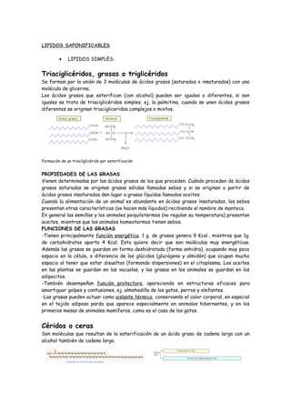 LIPIDOS SAPONIFICABLES

         •    LIPIDOS SIMPLES:


Triaciglicéridos, grasas o triglicéridos
Se forman por la unión de 3 moléculas de ácidos grasos (saturados o insaturados) con una
molécula de glicerina.
Los ácidos grasos que esterifican (con alcohol) pueden ser iguales o diferentes, si son
iguales se trata de triaciglicéridos simples, ej. la palmitina, cuando se unen ácidos grasos
diferentes se originan triacigliceridos complejos o mixtos.




Formación de un triacilglicérido por esterificación


PROPIEDADES DE LAS GRASAS
Vienen determinadas por los ácidos grasos de los que proceden. Cuándo proceden de ácidos
grasos saturados se originan grasas sólidas llamadas sebos y si se originan a partir de
ácidos grasos insaturados den lugar a grasas líquidas llamadas aceites.
Cuando la alimentación de un animal es abundante en ácidos grasos insaturados, los sebos
presentan otras características (se hacen más líquidos) recibiendo el nombre de manteca.
En general las semillas y los animales poiquilotermos (no regulan su temperatura) presentan
aceites, mientras que los animales homeotermos tienen sebos.
FUNCIONES DE LAS GRASAS
-Tienen principalmente función energética. 1 g. de grasas genera 9 Kcal., mientras que 1g.
de carbohidratos aporta 4 Kcal. Esto quiere decir que son moléculas muy energéticas.
Además las grasas se guardan en forma deshidratada (forma anhidra), ocupando muy poco
espacio en la célula, a diferencia de los glúcidos (glucógeno y almidón) que ocupan mucho
espacio al tener que estar disueltos (formando dispersiones) en el citoplasma. Los aceites
en las plantas se guardan en las vacuolas, y las grasas en los animales se guardan en los
adipocitos.
-También desempeñan función protectora, apareciendo en estructuras eficaces para
amortiguar golpes y contusiones, ej. almohadilla de los gatos, perros y elefantes.
-Las grasas pueden actuar como aislante térmico, conservando el calor corporal, en especial
en el tejido adiposo pardo que aparece especialmente en animales hibernantes, y en los
primeros meses de animales mamíferos, como es el caso de los gatos.


Céridos o ceras
Son moléculas que resultan de la esterificación de un ácido graso de cadena larga con un
alcohol también de cadena larga.
 