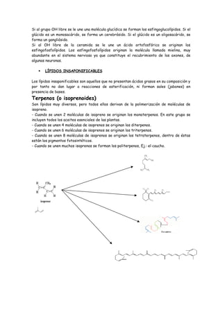 Si al grupo OH libre se le une una molécula glucídica se forman los esfingoglucolípidos. Si el
glúcido es un monosacárido, se forma un cerebrósido. Si el glúcido es un oligosacárido, se
forma un gangliósido.
Si al OH libre de la ceramida se le une un ácido ortofosfórico se originan los
esfingofosfolípidos. Los esfingofosfolípidos originan la molécula llamada mielina, muy
abundante en el sistema nervioso ya que constituye el recubrimiento de los axones, de
algunas neuronas.

      LÍPIDOS INSAPONIFICABLES

Los lípidos insaponificables son aquellos que no presentan ácidos grasos en su composición y
por tanto no dan lugar a reacciones de esterificación, ni forman sales (jabones) en
presencia de bases.
Terpenos (o isoprenoides)
Son lípidos muy diversos, pero todos ellos derivan de la polimerización de moléculas de
isopreno.
- Cuando se unen 2 moléculas de isopreno se originan los monoterpenos. En este grupo se
incluyen todos los aceites esenciales de las plantas.
- Cuando se unen 4 moléculas de isoprenos se originan los diterpenos.
- Cuando se unen 6 moléculas de isoprenos se originan los triterpenos.
- Cuando se unen 8 moléculas de isoprenos se originan los tetraterpenos, dentro de éstas
están los pigmentos fotosintéticos.
- Cuando se unen muchos isoprenos se forman los politerpenos, Ej.: el caucho.
 