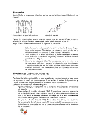 Esteroides
Son moléculas o compuestos policíclicos que derivan del ciclopentanoperhidrofenantreno
(gonano).




Colesterol entre los lípidos de la membrana      Molécula de colesterol


Dentro de los esteroides existen diversos grupos, pero se pueden diferenciar por el
número y la localización de los sustituyentes. Todos tienen 4 anillos: A, B, C, D.
Según sean los sustituyentes presentes en el gonano se distinguen:

                1. Esteroles: a estos pertenecen el colesterol y la vitamina D, ambas de gran
                   importancia biológica. El colesterol se encuentra en el interior de la
                   membrana plasmática, dotando a ésta de rigidez y resistencia.
                2. Sales biliares: es lo mismo que la bilis, y es secretada por la vesícula
                   biliar, su función es emulsionar las grasas y facilitar la absorción de éstas
                   por el intestino delgado.
                3. Hormonas esteroideas o Esteroides: son aquellas que se sintetizan en la
                   corteza suprarrenal. Dentro de estos se incluyen los mineralocorticoides,
                   y glucocorticoides que. Las hormonas sexuales también son esteroides
                   (tanto las masculinas como las femeninas) que participan en la maduración
                   de los órganos sexuales.

TRANSPORTE DE LÍPIDOS (=LIPOPROTEÍNAS)

Puesto que los lípidos son insolubles en agua, necesitan ser transportados de un lugar a otro
del organismo, a través de macromoléculas, éstas reciben el nombre de lipoproteínas y
“viajan” a través de la sangre, portando los diferentes lípidos en su interior.
Dentro de las lipoproteínas pueden distinguirse:
    • Quilomicrones (QM): Transportan por el cuerpo los triacilglicéridos provenientes
        de la comida
    • Lipoproteínas de densidad intermedia (LDL): Transportan el colesterol proveniente
        de la comida. El 50-70 % del colesterol total de la sangre es transportado por los
        LDL y por tanto un elevado contenido en sangre de LDL está directamente
        relacionado con riesgos de enfermedades cardíacas o coronarias
    • Lipoproteínas de alta densidad (HDL): Transportan el colesterol, que proviene de
        las comidas y los fosfolípidos al hígado. Niveles altos de HDL en sangre, indican un
        bajo riesgo de enfermedad coronaria, ya que retornan el colesterol a las células
        para “reciclarlo”.
 