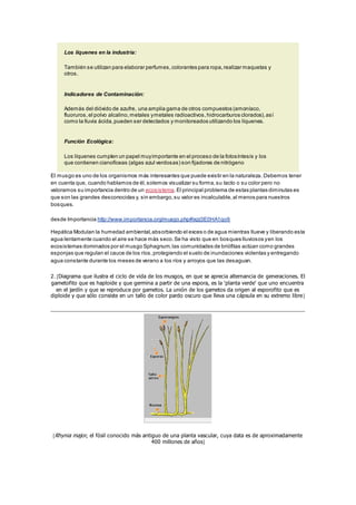 Los líquenes en la industria: 
También se utilizan para elaborar perfumes, colorantes para ropa, realizar maquetas y 
otros. 
Indicadores de Contaminación: 
Además del dióxido de azufre, una amplia gama de otros compuestos (amoníaco, 
fluoruros, el polvo alcalino, metales y metales radioactivos, hidrocarburos clorados), así 
como la lluvia ácida, pueden ser detectados y monitoreados utilizando los líquenes. 
Función Ecológica: 
Los líquenes cumplen un papel muy importante en el proceso de la fotosíntesis y los 
que contienen cianofíceas (algas azul verdosas) son fijadores de nitrógeno 
El musgo es uno de los organismos más interesantes que puede existir en la naturaleza. Debemos tener 
en cuenta que, cuando hablamos de él, solemos visualizar su forma, su tacto o su color pero no 
valoramos su importancia dentro de un ecosistema. El principal problema de estas plantas diminutas es 
que son las grandes desconocidas y, sin embargo, su valor es incalculable, al menos para nuestros 
bosques. 
desde Importancia http://www.importancia.org/musgo.php#ixzz3E0HA1qo9 
Hepática Modulan la humedad ambiental, absorbiendo el exces o de agua mientras llueve y liberando esta 
agua lentamente cuando el aire se hace más seco. Se ha visto que en bosques lluviosos y en los 
ecosistemas dominados por el musgo Sphagnum, las comunidades de briófitas actúan como grandes 
esponjas que regulan el cauce de los ríos, protegiendo el suelo de inundaciones violentas y entregando 
agua constante durante los meses de verano a los ríos y arroyos que las desaguan. 
2. [Diagrama que ilustra el ciclo de vida de los musgos, en que se aprecia alternancia de generaciones. El 
gametofito que es haploide y que germina a partir de una espora, es la 'planta verde' que uno encuentra 
en el jardín y que se reproduce por gametos. La unión de los gametos da origen al esporofito que es 
diploide y que sólo consiste en un tallo de color pardo oscuro que lleva una cápsula en su extremo libre] 
[Rhynia major, el fósil conocido más antiguo de una planta vascular, cuya data es de aproximadamente 
400 millones de años] 
 