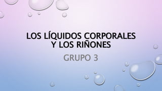 LOS LÍQUIDOS CORPORALES
Y LOS RIÑONES
GRUPO 3
 