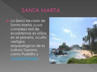           SANTA MARTA<br />La Sierra Nevada de Santa Marta, cuya compleja red de ecosistemas es única en el planeta, ocult...