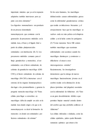 importante mientras que ya en la respuesta
adaptativa también intervienen pero ya
junto con otros elementos”
Los fagocitos mononucleares son producto
de un proceso denominado
monocitopoyesis que comienza con la
generación de precursores mieloides en la
médula ósea, el bazo y el hígado fetal a
partir de células pluripotenciales
estimuladas con interleucina (IL-3). Los
precursores mieloides comunes para el
linaje granulocítico y monocítico, al ser
estimulados con el factor estimulante de
colonias de granulocito-macrófago (GM-
CSF) y el factor estimulante de colonias de
macrófago (M-CSF) e interactuar con el
estroma de los órganos hematopoyéticos
dan lugar a los promonoblastos y generan la
progenie monocito-macrófago (4) “Estas
células para llegar a convertirse en
macrófagos debe de cumplir un ciclo en la
medula ósea dando origen a lo que es la
monocitopoyesis es decir la formación de
monocitos en donde son estimulados por
factores estimulantes de colonias”
En los seres humanos, los macrófagos
disfuncionales causan enfermedades graves
como la enfermedad granulomatosa crónica
que resulta en infecciones frecuentes y el
envejecimiento hace que los macrófagos se
vuelvan cada vez más pobres en la limpieza
celular y en la lucha contra los patógenos.
(5) “Como menciona Steve Hill existen
también macrófagos que ocasionan
enfermedades esto acontece cuando los
macrófagos disminuyen y comienzan a
dificultarse al atacar a esos
microorganismos extraños”
Recientemente, los investigadores
demostraron que la entrega de nuevos
macrófagos funcionalmente jóvenes en el
cerebro resulta en la eliminación de las
placas (proteínas mal plegadas) asociadas
con la enfermedad de Alzheimer. (6) “Esto
es un gran descubrimiento debido a que
permiten limpiar material extraño dentro
del cerebro que muy probable conllevan al
Alzheimer”
Las células infectadas o dañadas, como las
células epiteliales, piden ayuda liberando
sustancias químicas que atraen a los
 