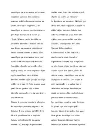 macrófagos que se encuentran en los vasos
sanguíneos cercanos. Esas sustancias
químicas también abren espacios entre las
células de los vasos sanguíneos, y los
macrófagos se escurren entre esos espacios
para llegar a donde está la acción. (7)
“Según Behnsen cuando las células se
encuentran infectadas a dañadas estas de
aquí liberan una sustancia en donde esa
misma sustancia habilita la entrada de los
macrófagos que se encuentran cerca y así
acudir al sitio del daño o de la infección”
Sus células alrededor de la astilla piden
ayuda y cuando los vasos sanguíneos dejan
que los macrófagos entren al tejido
infectado, también dejan que algo de sangre
se filtre en el área. (8) “Esta sustancia extra
junto con los químicos que la célula
infectada a expulsado es lo que va a llevar a
una inflamación”
Durante la respuesta inmunitaria adaptativa
los macrófagos presentan antígenos a los
linfocitos T en el contexto de MHC-II y/o
MHC-I, y colaboran con la respuesta
humoral en la eliminación de agentes
extraños. (9) “Este tipo de presentación
también se da frente a los parásitos con el
objetivo de aislarlo y/o eliminarlo”
La fagocitosis, un mecanismo biológico por
el que unas células especiales se comen las
células viejas, muertas o dañadas para
evitar su acumulación y que dañen a los
tejidos, parece tener también una labor
educativa. Investigadores del Centro
Nacional de Investigadores
Cardiovasculares Carlos III (CNIC)
describen en la revista Journal of
Experimental Medicine que la fagocitosis
no solo elimina células inservibles, sino que
además ‘educa’ a un tipo de células del
sistema inmune –macrófagos- que son las
encargadas de comerlas. (10) “Según lo
antes mencionado si se analiza bien es
cierto estos macrófagos enseñaran por
decirlo así a otras células cual es la tarea
por hacer frente a material extraño”
Los macrófagos cumplen varias funciones.
En primer lugar son los principales
fagocitos dentro de los tejidos. Esto quiere
decir que los macrófagos son células
capaces de captar diferentes cuerpos
extraños que penetran en nuestro organismo
 