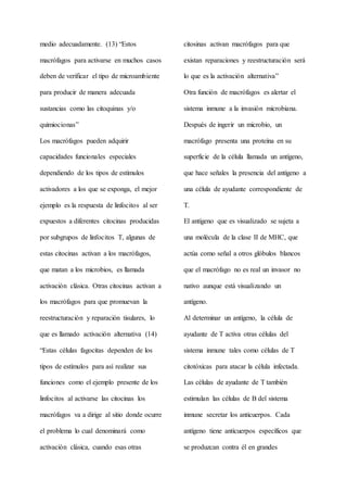 medio adecuadamente. (13) “Estos
macrófagos para activarse en muchos casos
deben de verificar el tipo de microambiente
para producir de manera adecuada
sustancias como las citoquinas y/o
quimiocionas”
Los macrófagos pueden adquirir
capacidades funcionales especiales
dependiendo de los tipos de estímulos
activadores a los que se exponga, el mejor
ejemplo es la respuesta de linfocitos al ser
expuestos a diferentes citocinas producidas
por subgrupos de linfocitos T, algunas de
estas citocinas activan a los macrófagos,
que matan a los microbios, es llamada
activación clásica. Otras citocinas activan a
los macrófagos para que promuevan la
reestructuración y reparación tisulares, lo
que es llamado activación alternativa (14)
“Estas células fagocitas dependen de los
tipos de estímulos para así realizar sus
funciones como el ejemplo presente de los
linfocitos al activarse las citocinas los
macrófagos va a dirige al sitio donde ocurre
el problema lo cual denominará como
activación clásica, cuando esas otras
citosinas activan macrófagos para que
existan reparaciones y reestructuración será
lo que es la activación alternativa”
Otra función de macrófagos es alertar el
sistema inmune a la invasión microbiana.
Después de ingerir un microbio, un
macrófago presenta una proteína en su
superficie de la célula llamada un antígeno,
que hace señales la presencia del antígeno a
una célula de ayudante correspondiente de
T.
El antígeno que es visualizado se sujeta a
una molécula de la clase II de MHC, que
actúa como señal a otros glóbulos blancos
que el macrófago no es real un invasor no
nativo aunque está visualizando un
antígeno.
Al determinar un antígeno, la célula de
ayudante de T activa otras células del
sistema inmune tales como células de T
citotóxicas para atacar la célula infectada.
Las células de ayudante de T también
estimulan las células de B del sistema
inmune secretar los anticuerpos. Cada
antígeno tiene anticuerpos específicos que
se produzcan contra él en grandes
 