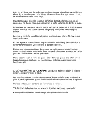 A su vez el diente esta formado por materiales óseos y minerales muy resistentes,
el marfil y el esmalte, para poder triturar alimentos duros. La capa interna donde
se alimenta el diente se llama pulpa.

Cuando las capas externas se dañan por efecto de las bacterias aparecen las
caries, que no duelen hasta que no lesionan la parte profunda del diente: la pulpa.

La forma de los dientes es variada, según para lo que se les utilice, y así tenemos
dientes incisivos para cortar, caninos desgarrar y premolares y molares para
triturar.

La boca se continúa con el tubo digestivo, que termina en el ano. No hay cloaca
como en las aves.

El tubo digestivo es muy variado según se trate de carnívoro y omnívoros que le
suelen tener más corto y sencillo que el de los herbívoros.

En los herbívoros rumiantes es de destacar su estómago que está dividido en
varios compartimentos, para poder llevar a cabo la digestión y fermentación de las
grandes cantidades de hierbas que comen.

Como podemos ver, la forma en que se alimentan y de que se alimentan sirve a
los zoólogos para clasificar a los mamíferos en distintos grupos: carnívoros,
herbívoros, etc.



3.- LA RESPIRACIÓN ES PULMONAR: Esto quiere decir que cogen el oxígeno
del aire, aunque vivan en el agua.

Los mamíferos tienen un músculo transversal, llamado diafragma y que les sirve
para mover los pulmones y para dividir la cavidad interna del tronco en dos partes:

Cavidad torácica, que contiene los pulmones y el corazón.

Y la Cavidad abdominal, con los aparatos digestivo, excretor y reproductor.

En el aparato respiratorio tienen laringe para poder emitir sonidos.
 