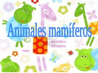 Animales mamíferos 