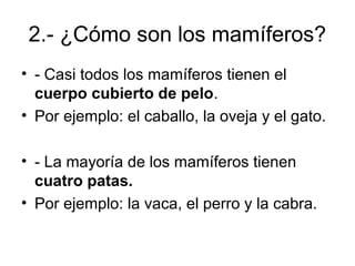 2.- ¿Cómo son los mamíferos?
• - Casi todos los mamíferos tienen el
  cuerpo cubierto de pelo.
• Por ejemplo: el caballo, la oveja y el gato.

• - La mayoría de los mamíferos tienen
  cuatro patas.
• Por ejemplo: la vaca, el perro y la cabra.
 